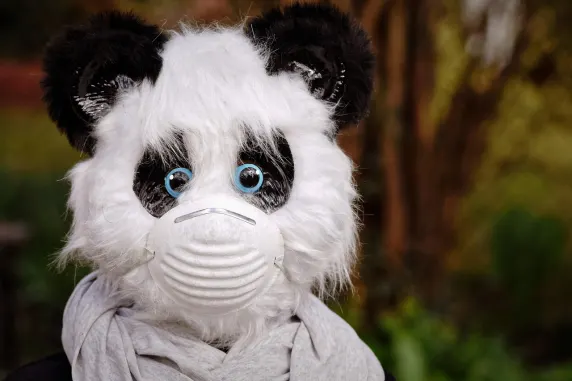 BigAzart Casino Suporte